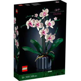 LEGO｜10311 Orchid 蘭花